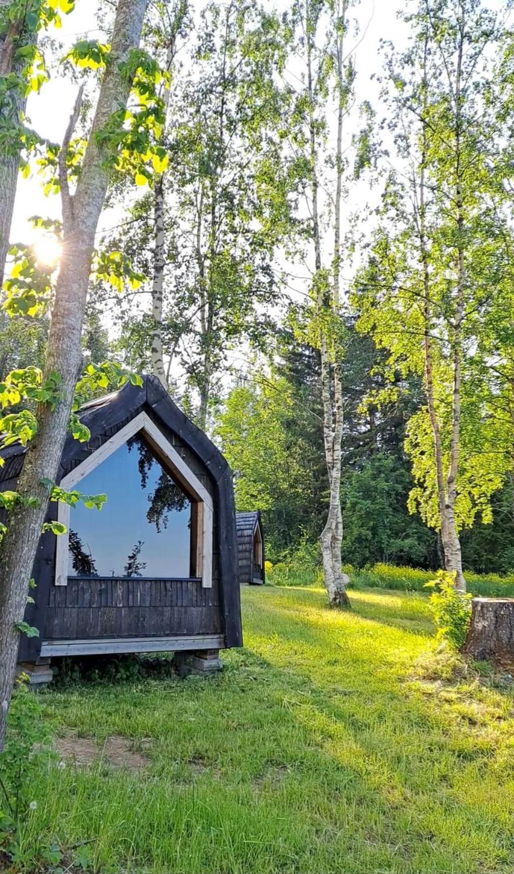 Sadama Iglukaemping